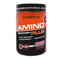 AMINO RECOVERY PLUS 360GR